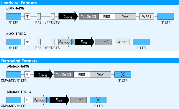 Retroviral Tet On 3g Inducible Expression Systems